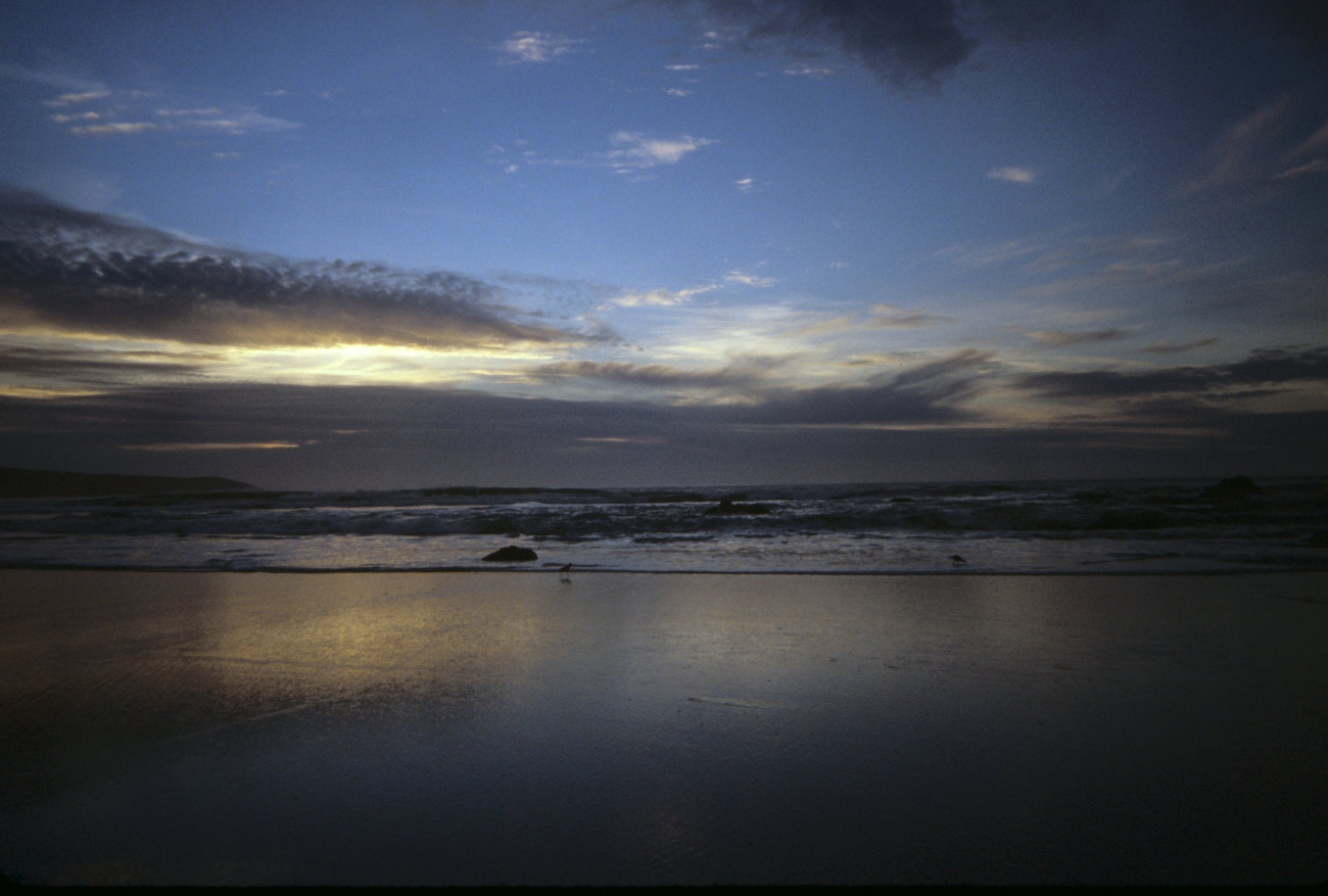 Dillon Beach (Image credit: Beach Watch, NOAA, Farallones Marine Sanctuary Association) Dillon Beach