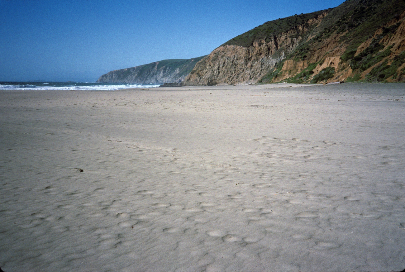 Kehoe Beach looking north (Image credit: Beach Watch, NOAA, Farallones Marine Sanctuary Association) Kehoe Beach looking north
