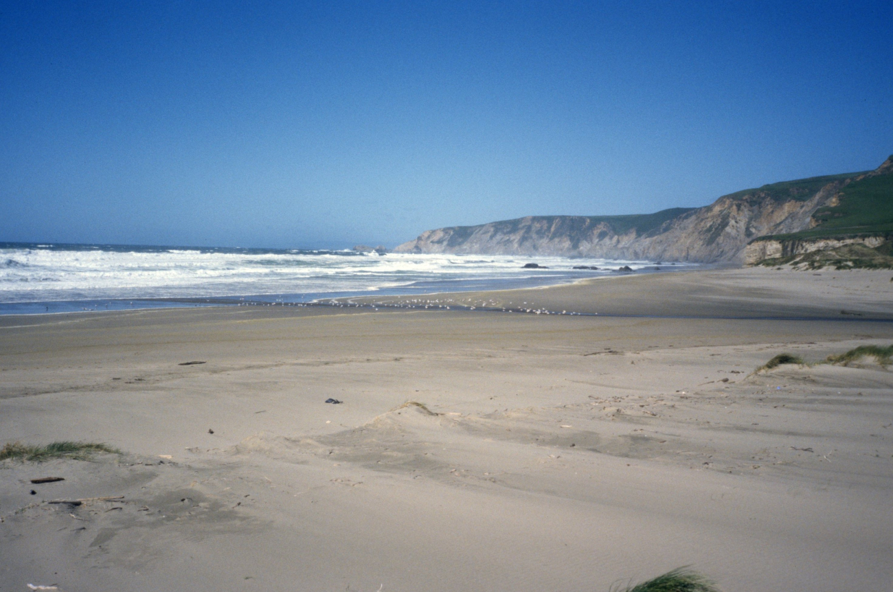 Kehoe Beach (Image credit: Beach Watch, NOAA, Farallones Marine Sanctuary Association) Kehoe Beach