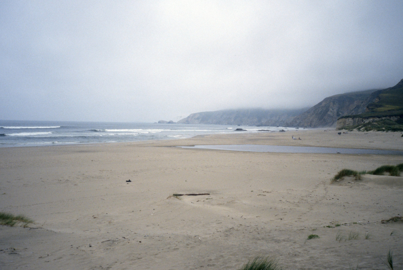 Kehoe Beach (Image credit: Beach Watch, NOAA, Farallones Marine Sanctuary Association) Kehoe Beach