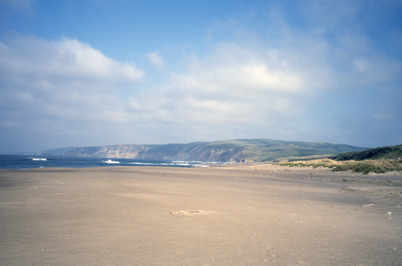 Kehoe Beach (Image credit: Beach Watch, NOAA, Farallones Marine Sanctuary Association) Kehoe Beach