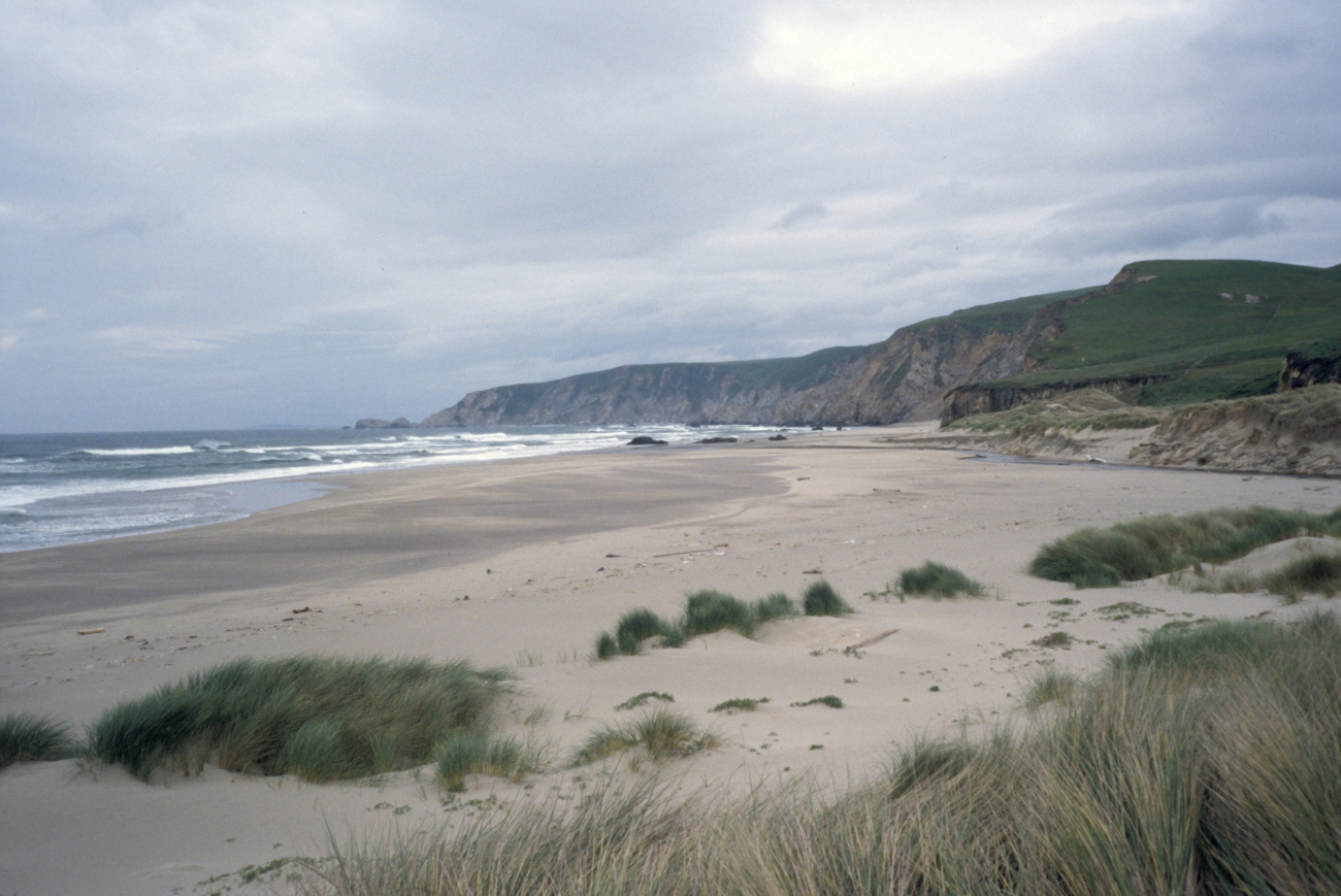 Kehoe Beach (Image credit: Beach Watch, NOAA, Farallones Marine Sanctuary Association) Kehoe Beach