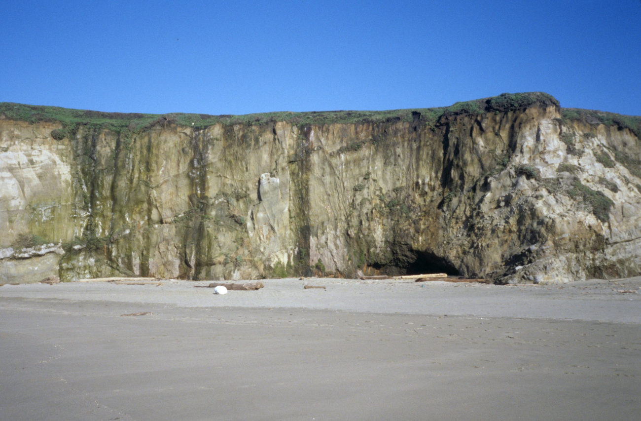 Kehoe Beach (Image credit: Beach Watch, NOAA, Farallones Marine Sanctuary Association) Kehoe Beach