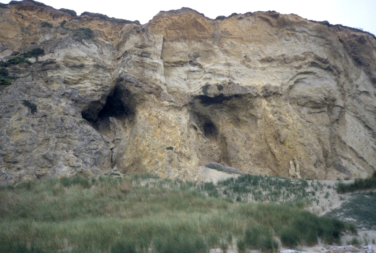 Kehoe Beach (Image credit: Beach Watch, NOAA, Farallones Marine Sanctuary Association) Kehoe Beach