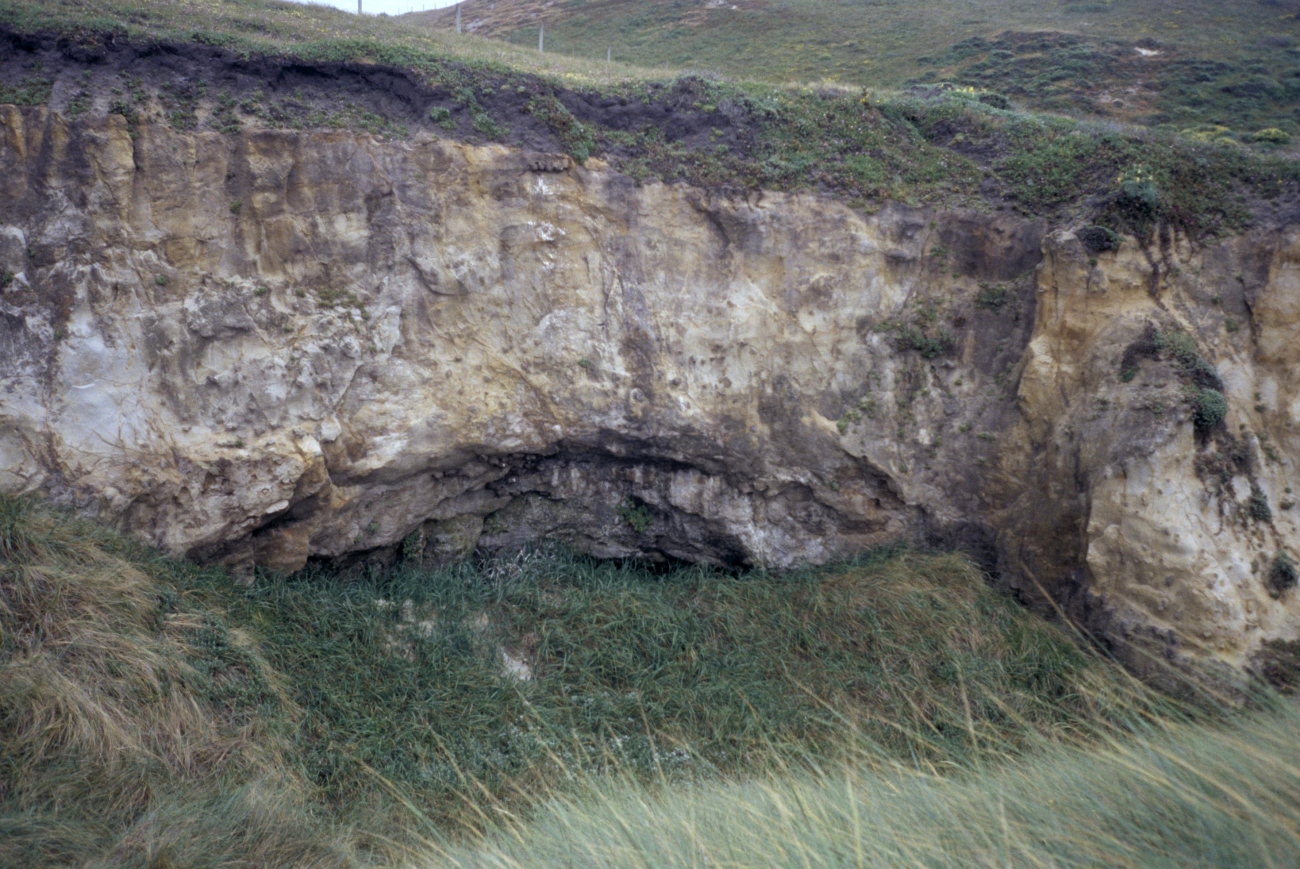 Kehoe Beach (Image credit: Beach Watch, NOAA, Farallones Marine Sanctuary Association) Kehoe Beach