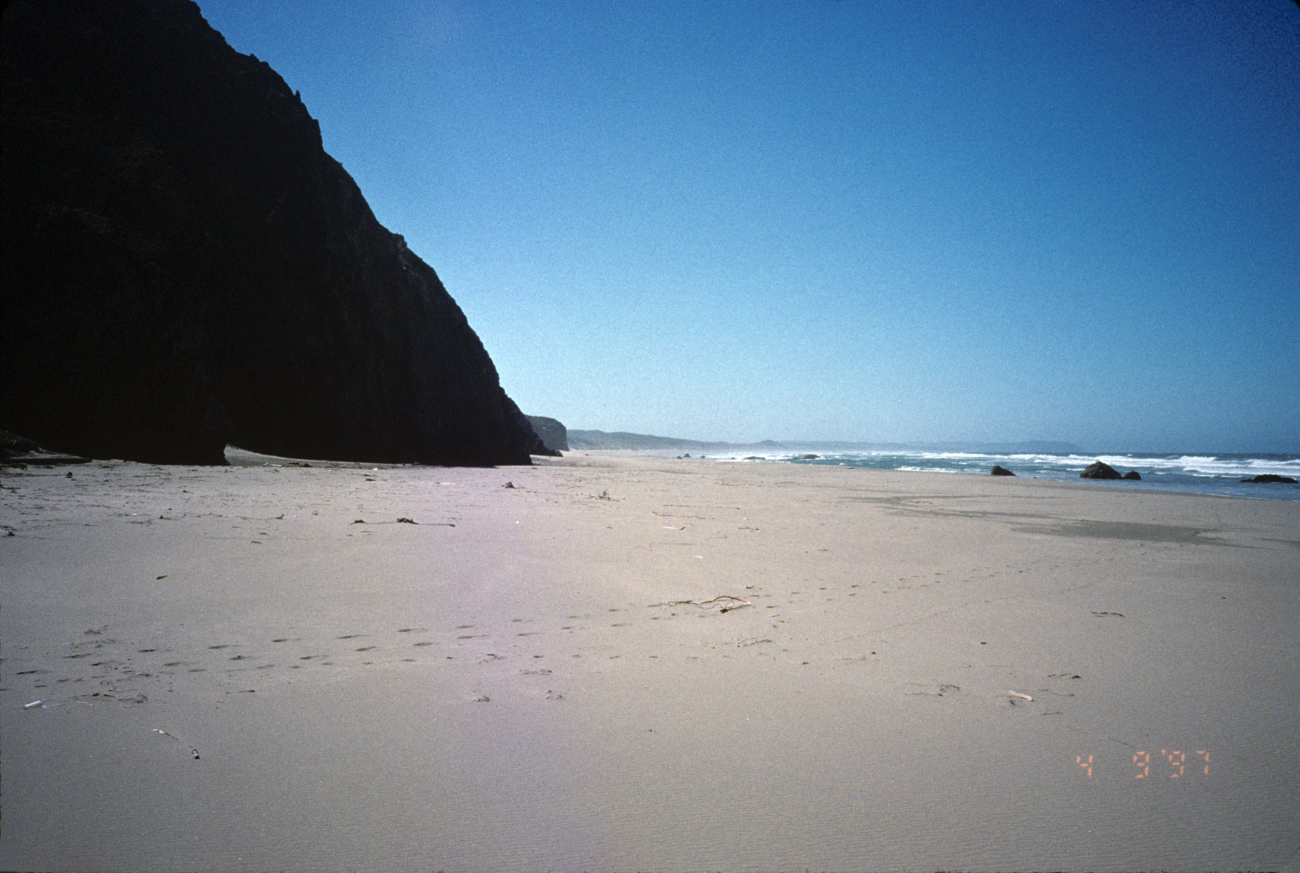 Kehoe Beach (Image credit: Beach Watch, NOAA, Farallones Marine Sanctuary Association) Kehoe Beach