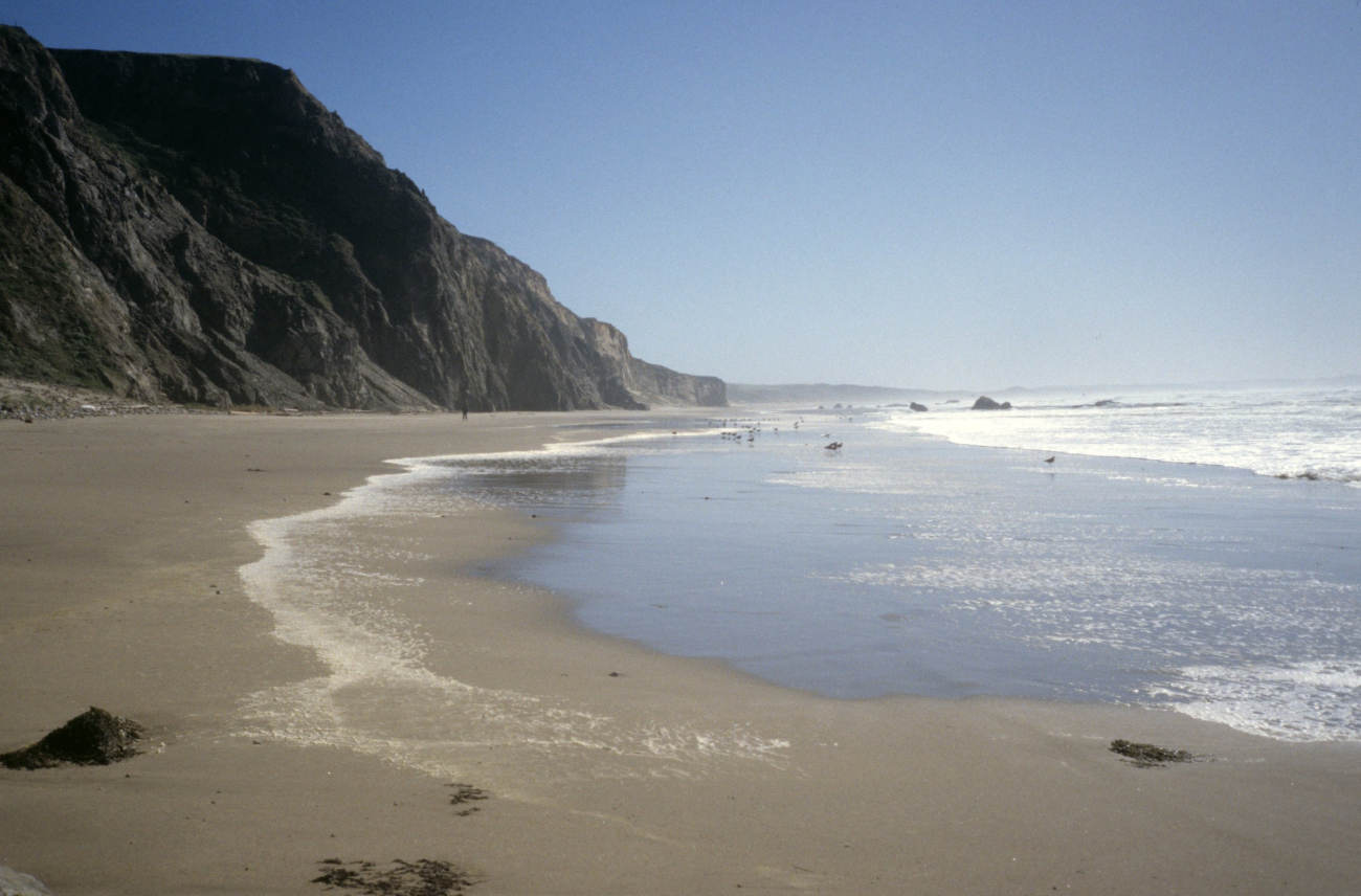 Kehoe Beach (Image credit: Beach Watch, NOAA, Farallones Marine Sanctuary Association) Kehoe Beach