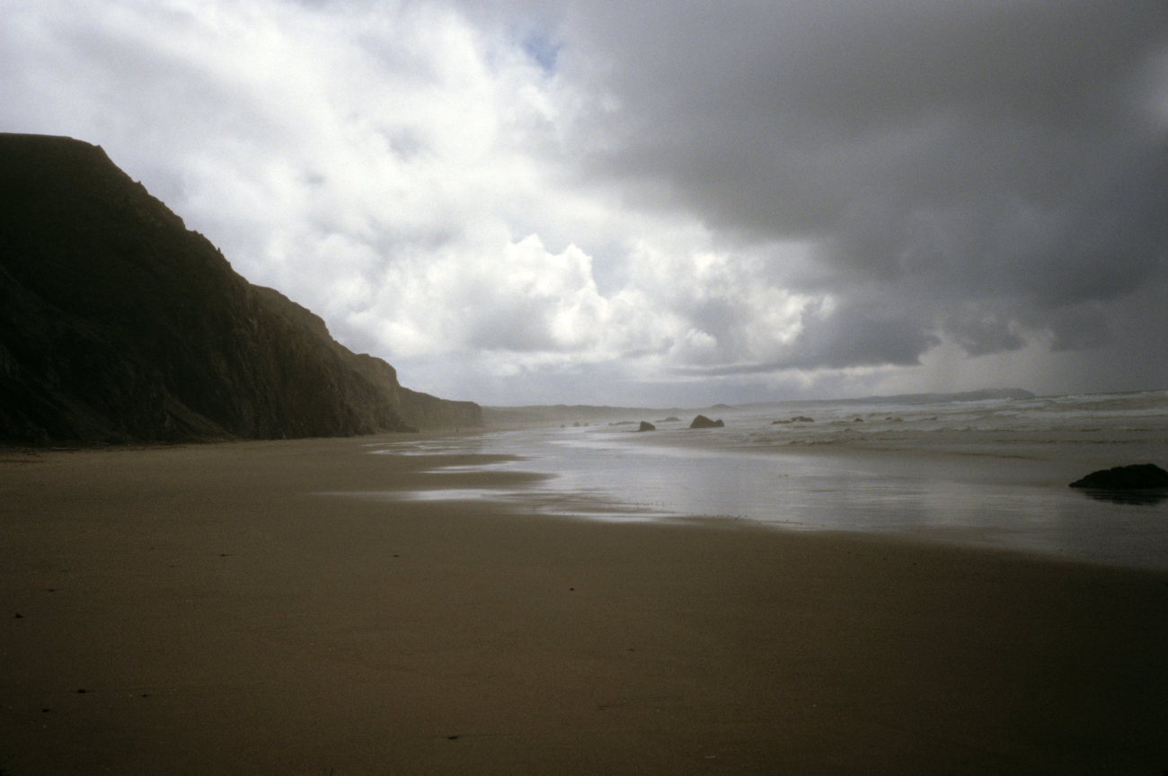 Kehoe Beach (Image credit: Beach Watch, NOAA, Farallones Marine Sanctuary Association) Kehoe Beach