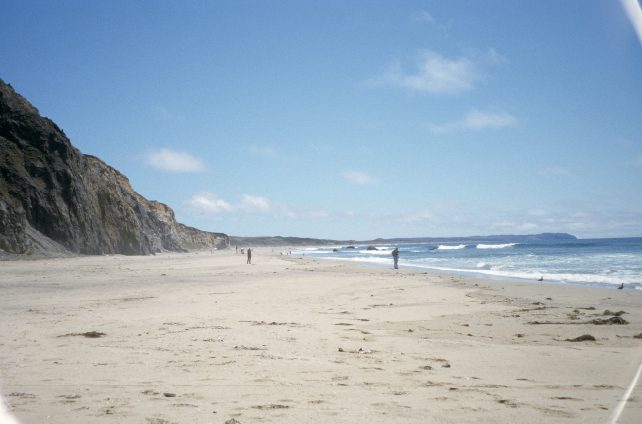 Kehoe Beach (Image credit: Beach Watch, NOAA, Farallones Marine Sanctuary Association) Kehoe Beach
