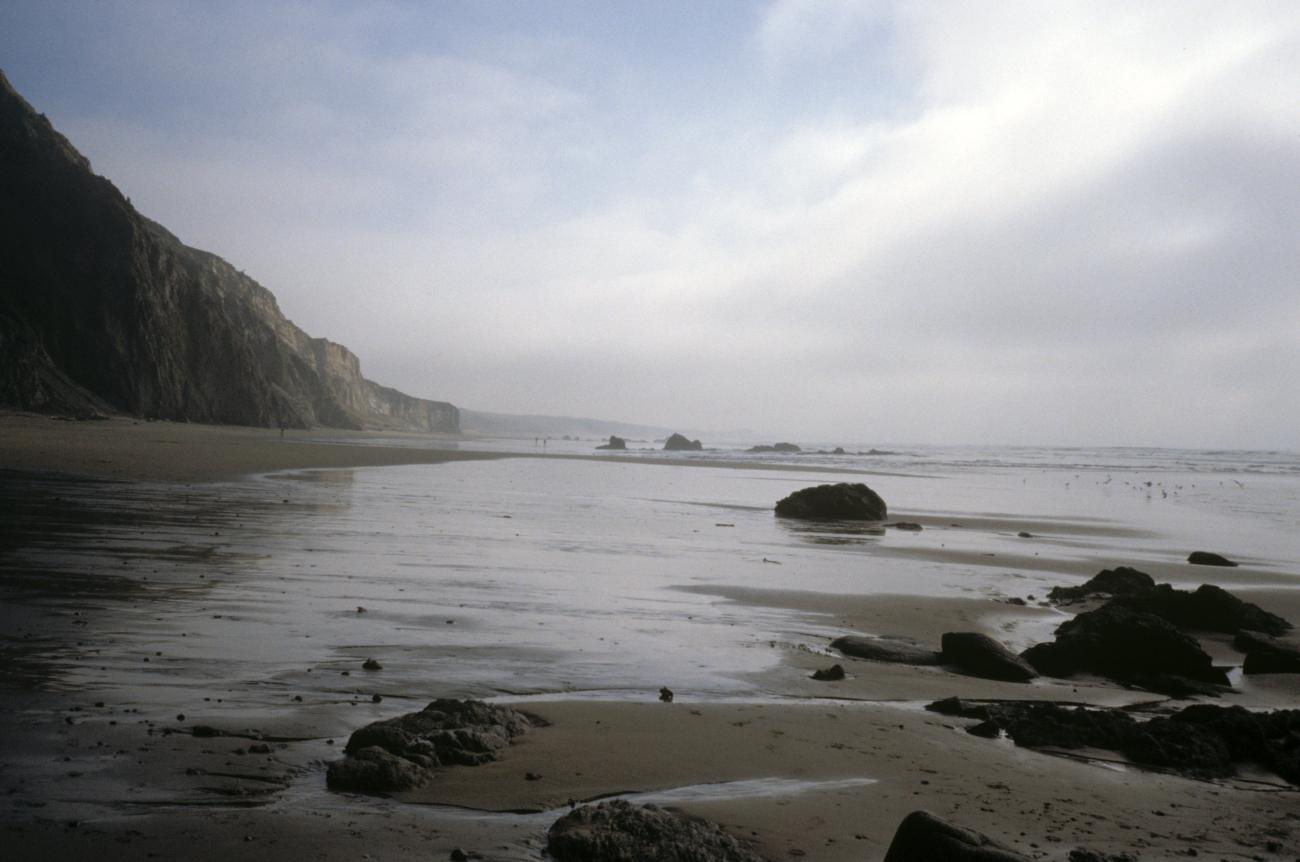 Kehoe Beach (Image credit: Beach Watch, NOAA, Farallones Marine Sanctuary Association) Kehoe Beach