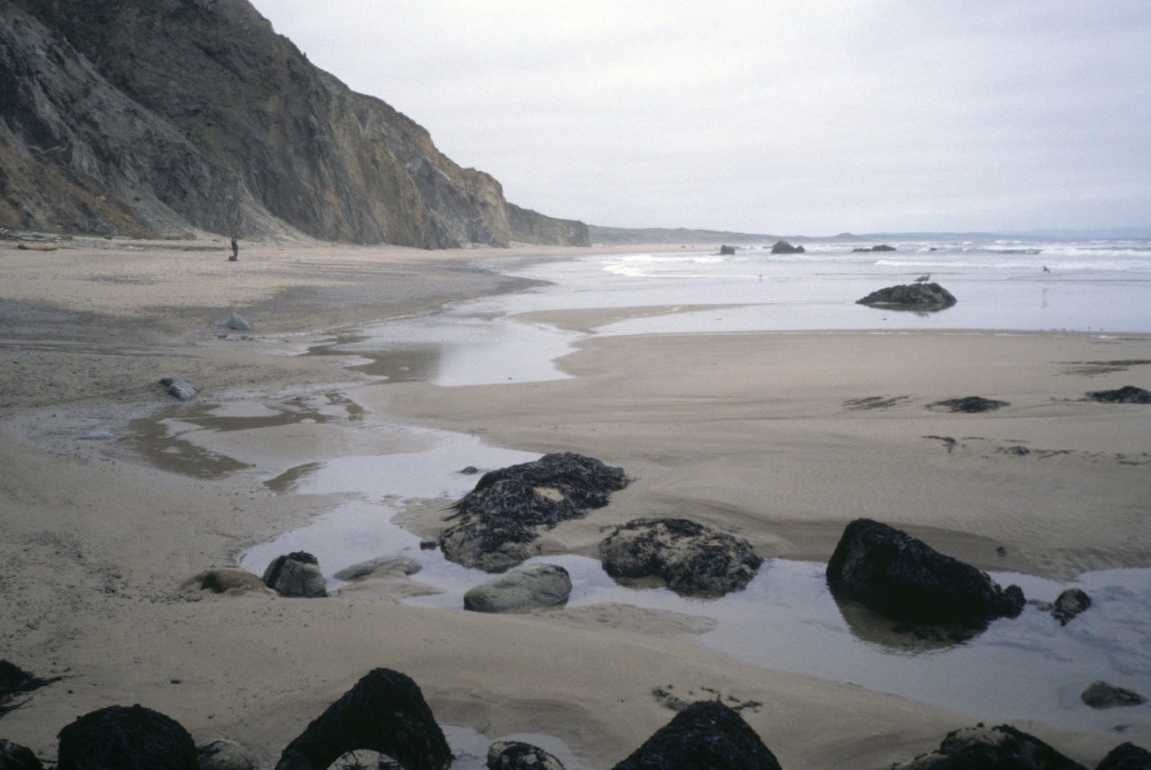 Kehoe Beach (Image credit: Beach Watch, NOAA, Farallones Marine Sanctuary Association) Kehoe Beach