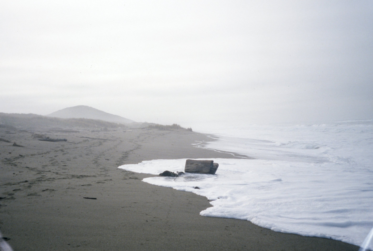 Point Reyes Great Beach (Image credit: Beach Watch, NOAA, Farallones Marine Sanctuary Association) Point Reyes Great Beach