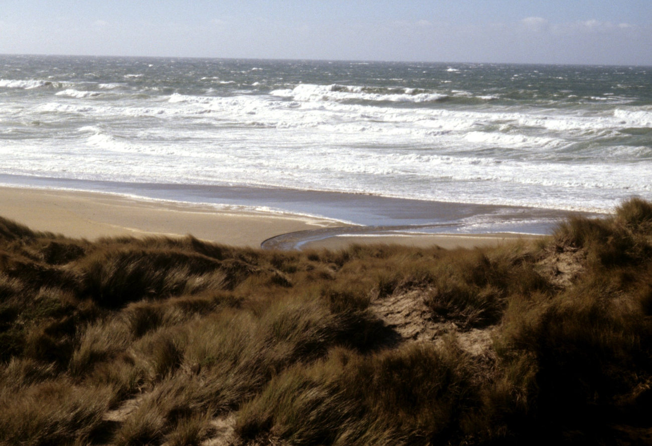 Point Reyes Great Beach (Image credit: Beach Watch, NOAA, Farallones Marine Sanctuary Association) Point Reyes Great Beach