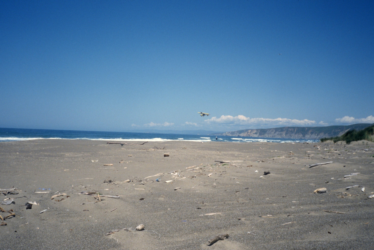Point Reyes Great Beach (Image credit: Beach Watch, NOAA, Farallones Marine Sanctuary Association) Point Reyes Great Beach