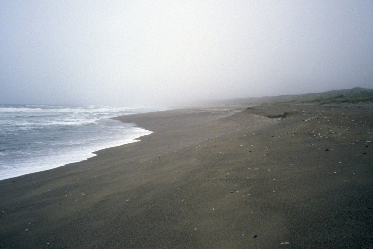 Point Reyes Great Beach (Image credit: Beach Watch, NOAA, Farallones Marine Sanctuary Association) Point Reyes Great Beach