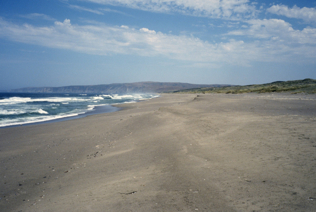 Point Reyes Great Beach (Image credit: Beach Watch, NOAA, Farallones Marine Sanctuary Association) Point Reyes Great Beach