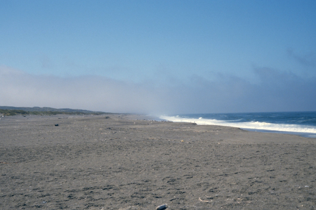 Point Reyes Great Beach (Image credit: Beach Watch, NOAA, Farallones Marine Sanctuary Association) Point Reyes Great Beach