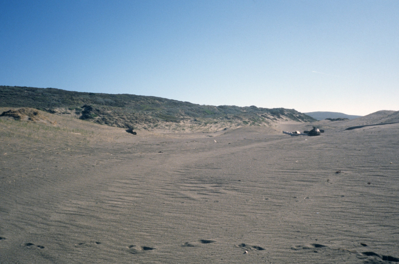 Point Reyes Great Beach (Image credit: Beach Watch, NOAA, Farallones Marine Sanctuary Association) Point Reyes Great Beach