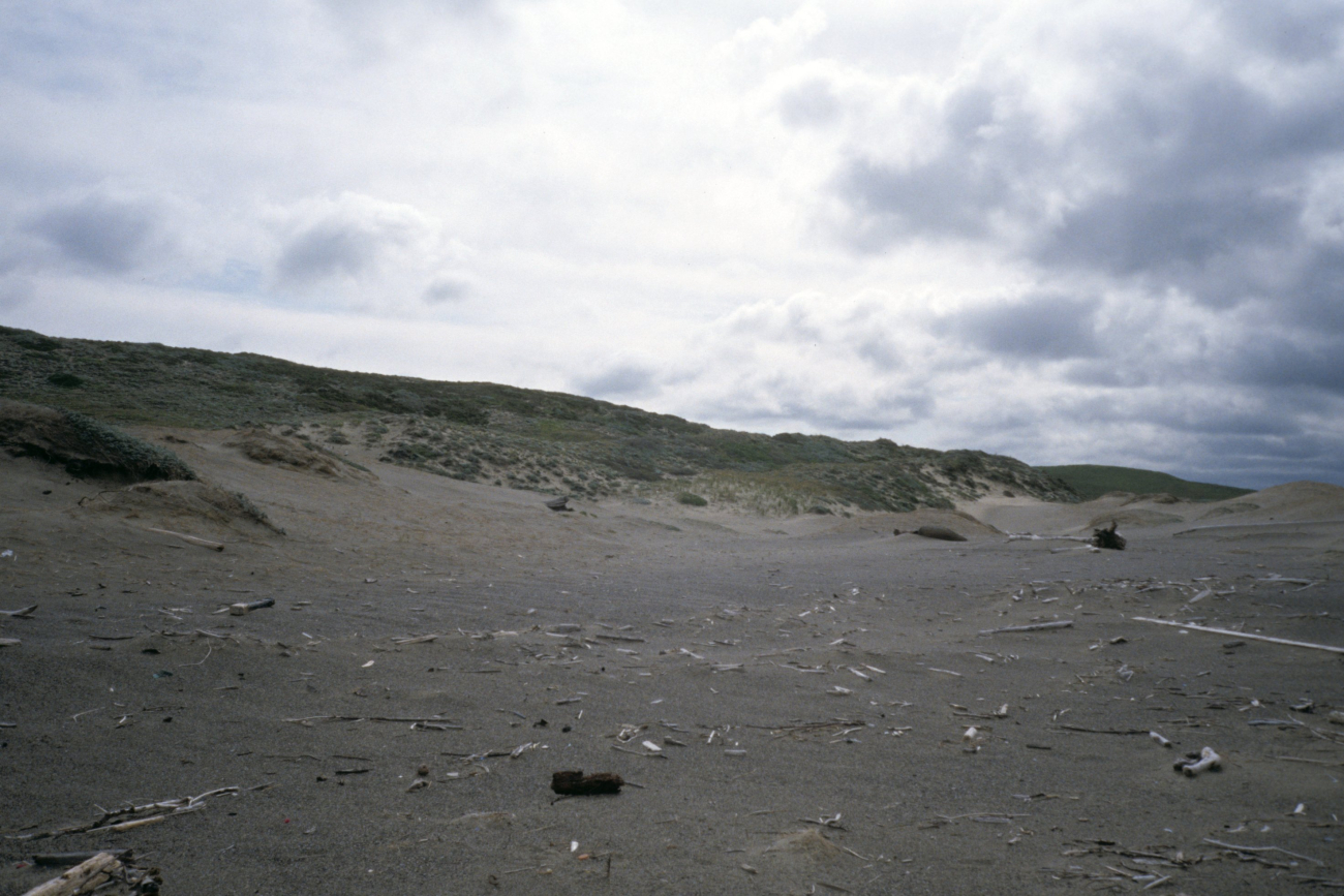 Point Reyes Great Beach (Image credit: Beach Watch, NOAA, Farallones Marine Sanctuary Association) Point Reyes Great Beach