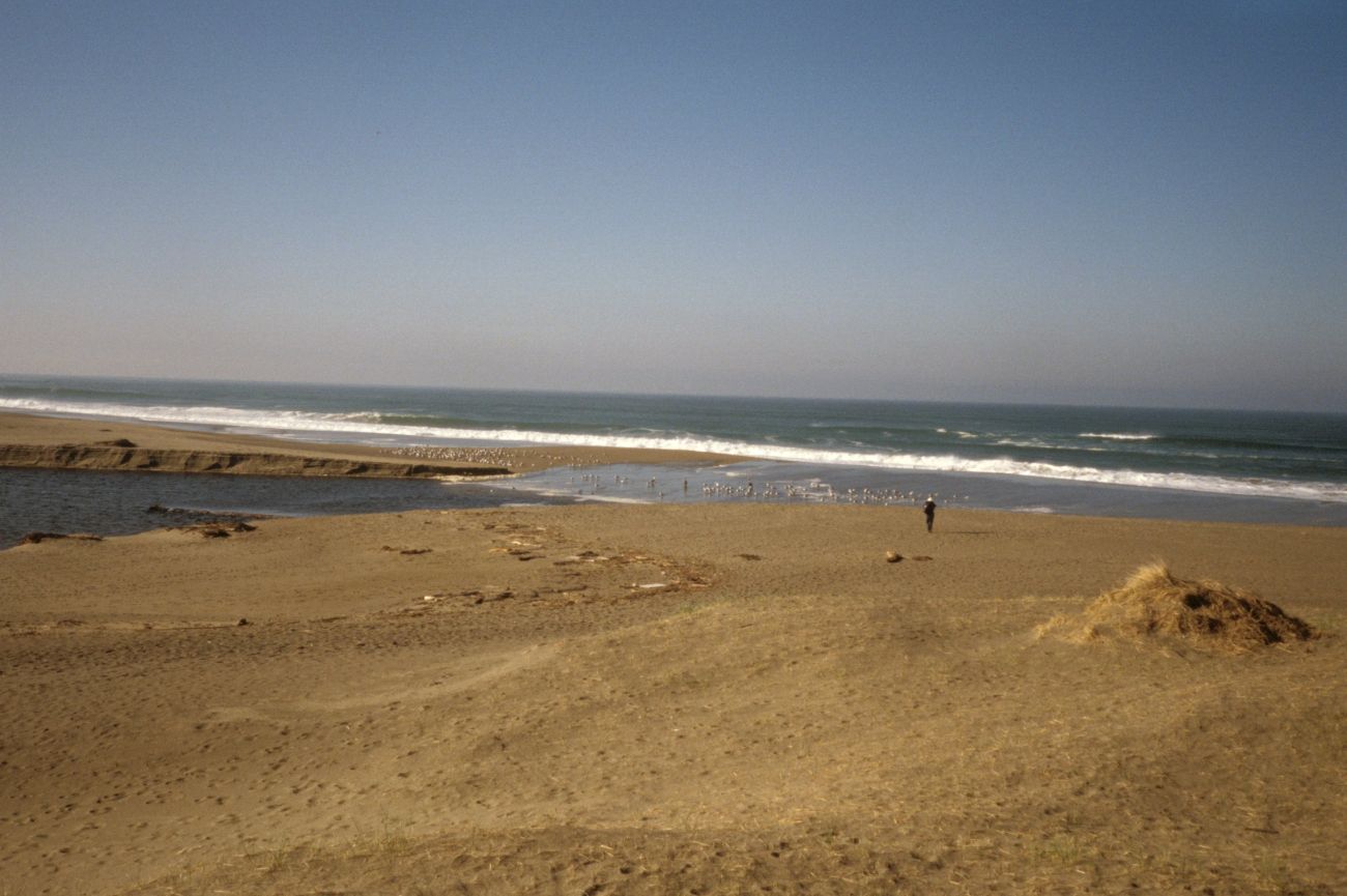 Point Reyes Great Beach (Image credit: Beach Watch, NOAA, Farallones Marine Sanctuary Association) Point Reyes Great Beach