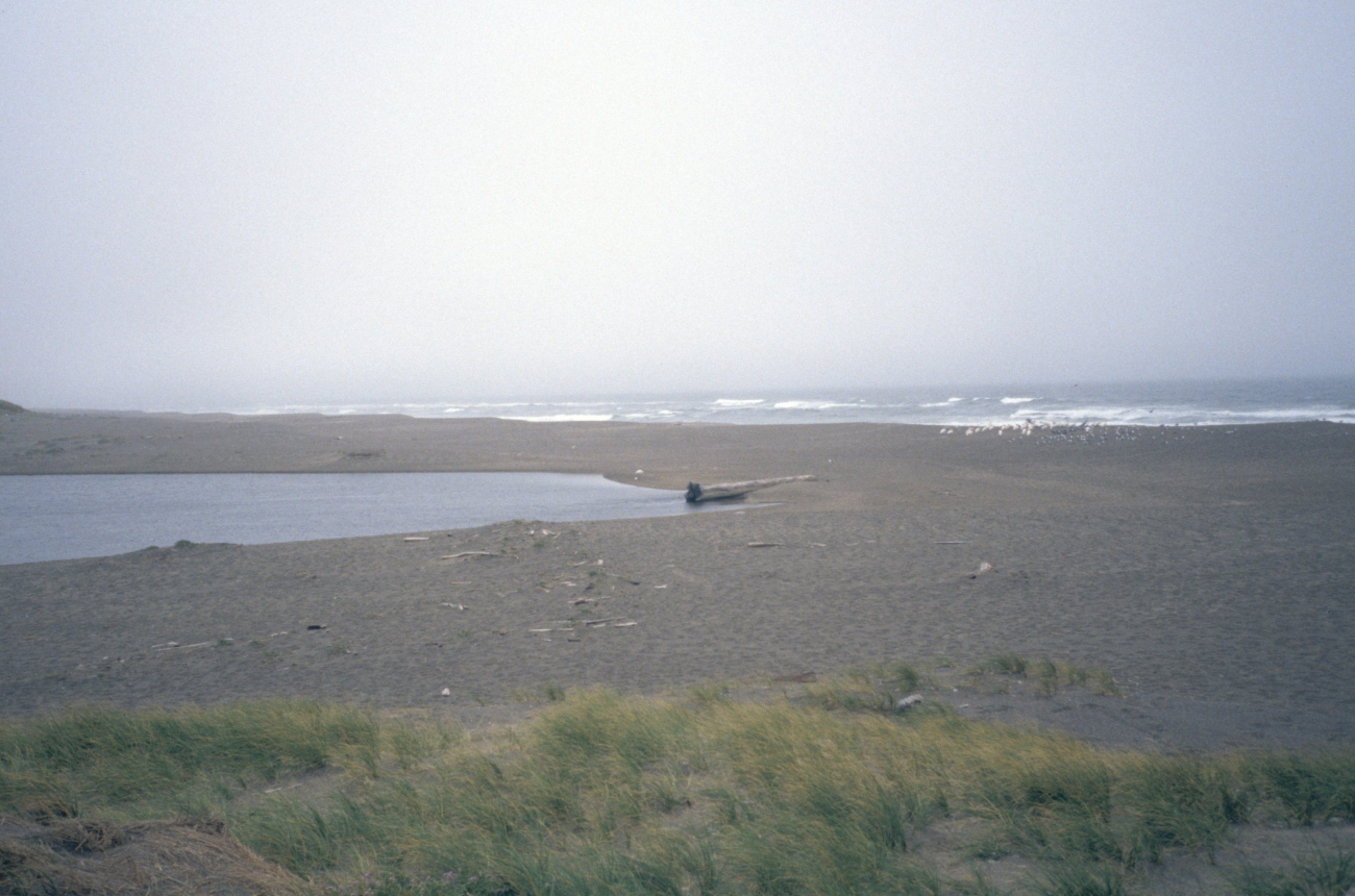 Point Reyes Great Beach (Image credit: Beach Watch, NOAA, Farallones Marine Sanctuary Association) Point Reyes Great Beach