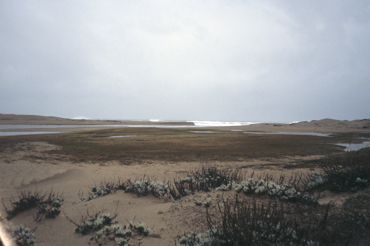 Point Reyes Great Beach (Image credit: Beach Watch, NOAA, Farallones Marine Sanctuary Association) Point Reyes Great Beach