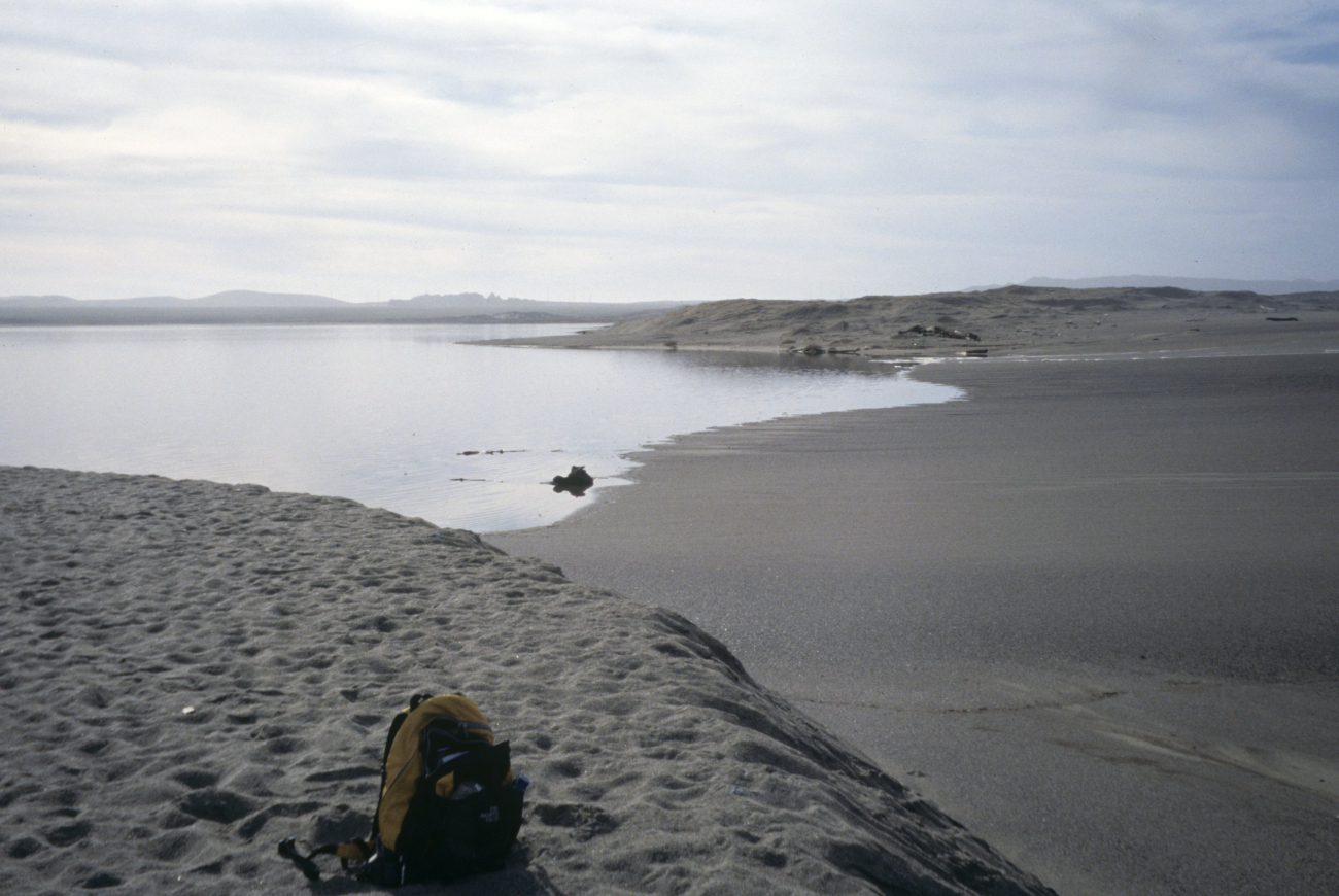 Point Reyes Great Beach (Image credit: Beach Watch, NOAA, Farallones Marine Sanctuary Association) Point Reyes Great Beach