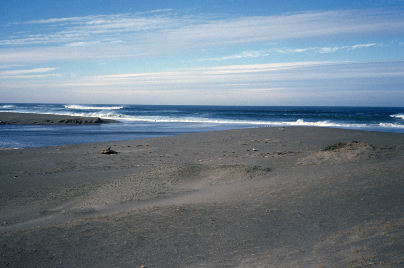 Point Reyes Great Beach (Image credit: Beach Watch, NOAA, Farallones Marine Sanctuary Association) Point Reyes Great Beach