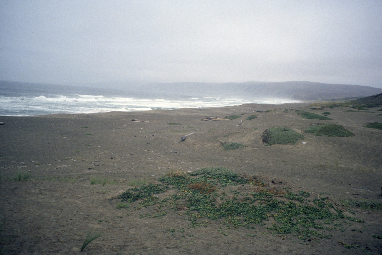 Point Reyes Great Beach (Image credit: Beach Watch, NOAA, Farallones Marine Sanctuary Association) Point Reyes Great Beach