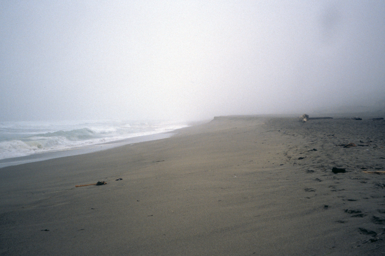 Point Reyes Great Beach (Image credit: Beach Watch, NOAA, Farallones Marine Sanctuary Association) Point Reyes Great Beach