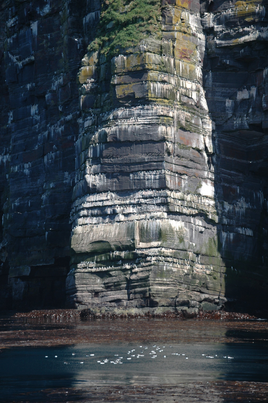 Kagamil Island Bird Wall (Image credit: Mandy Lindeberg) Kagamil Island Bird Wall