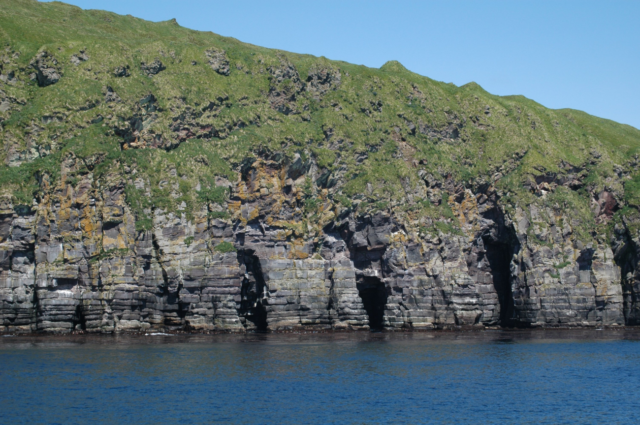 Moss covered volcanic flows (Image credit: Mandy Lindeberg) Moss covered volcanic flows