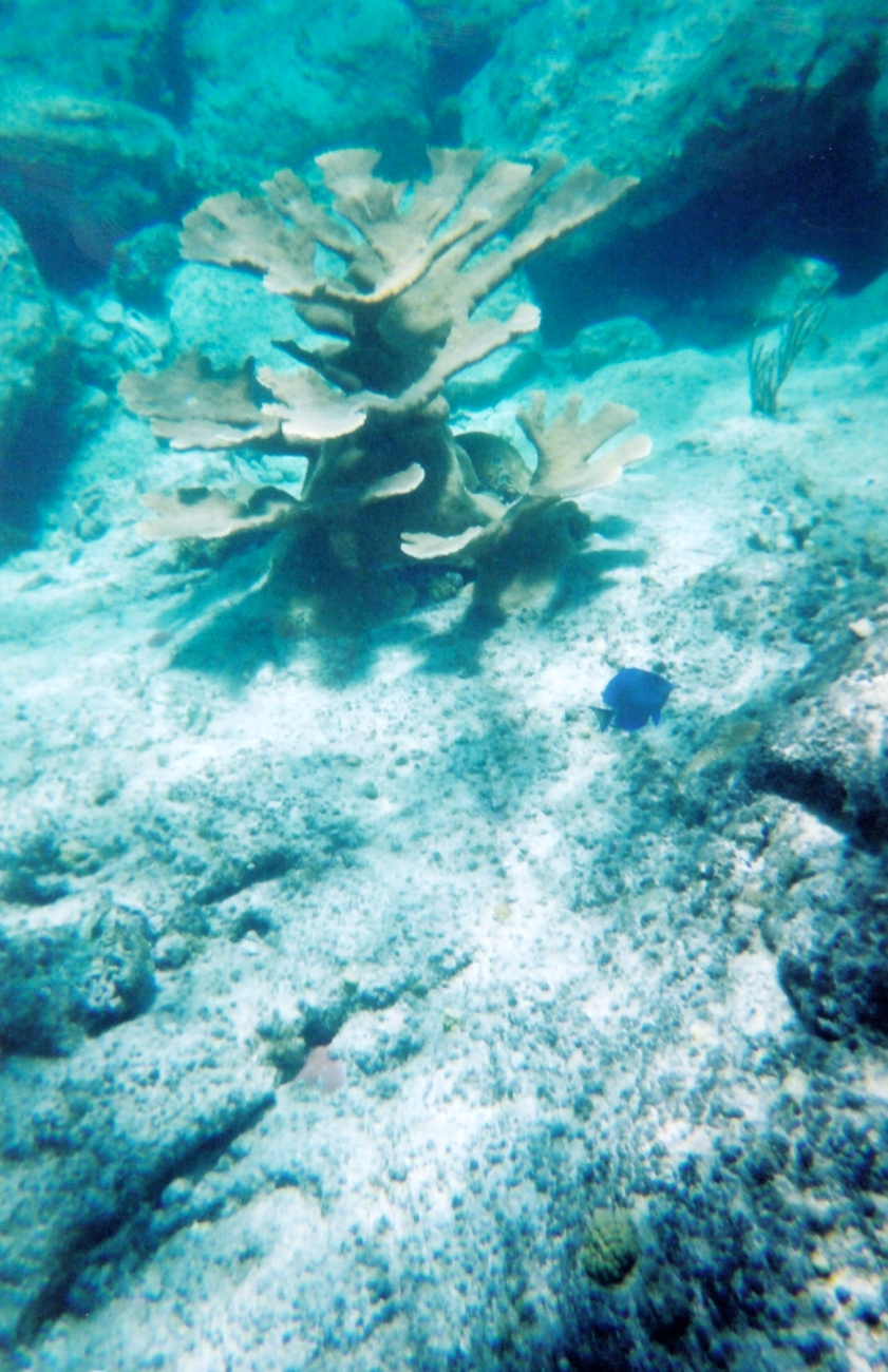 Snorkeling views (Image credit: Julia Brownlee) Snorkeling views