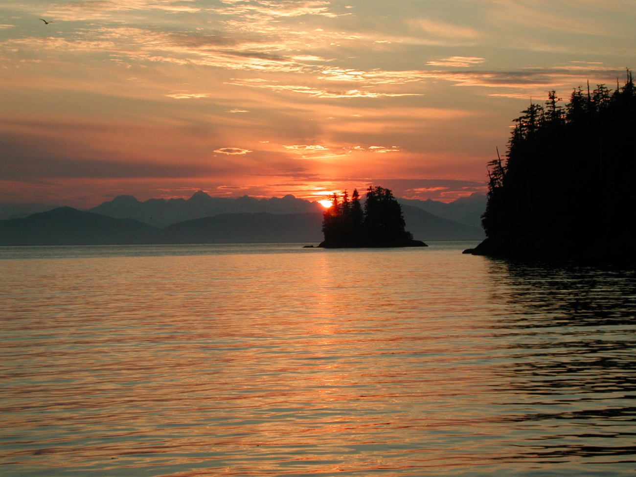 A Herring Bay sunset (Image credit: Mandy Lindeberg) A Herring Bay sunset