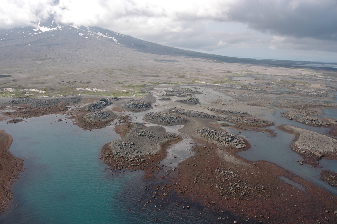 Aerial photograph (Image credit: Alaska ShoreZone Program NOAA/NMFS/AKFSC; Courtesy of Mandy Lindeberg, NOAA/NMFS/AKFSC) Aerial photograph