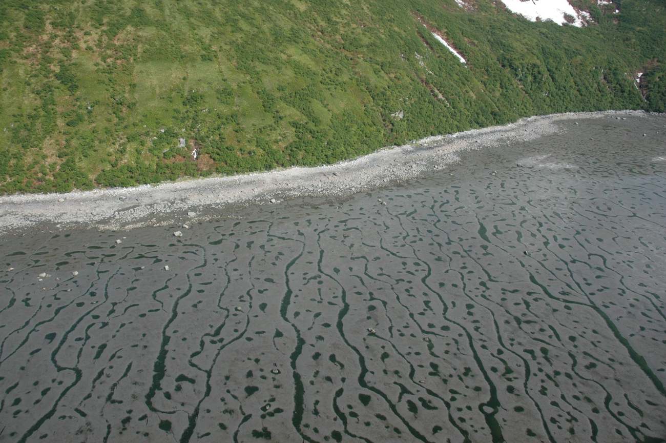 Aerial photograph (Image credit: Alaska ShoreZone Program NOAA/NMFS/AKFSC; Courtesy of Mandy Lindeberg, NOAA/NMFS/AKFSC) Aerial photograph