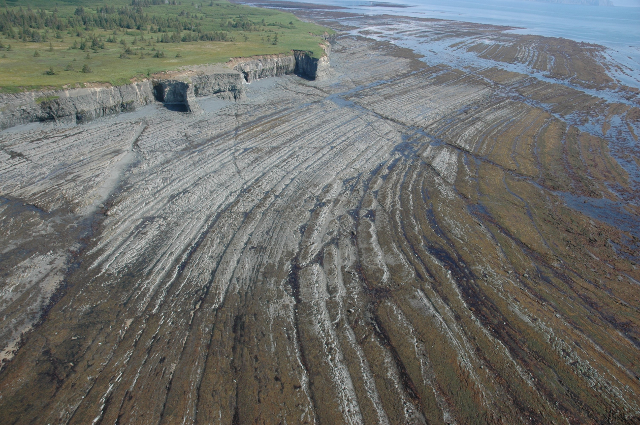 Aerial photograph (Image credit: Alaska ShoreZone Program NOAA/NMFS/AKFSC; Courtesy of Mandy Lindeberg, NOAA/NMFS/AKFSC) Aerial photograph