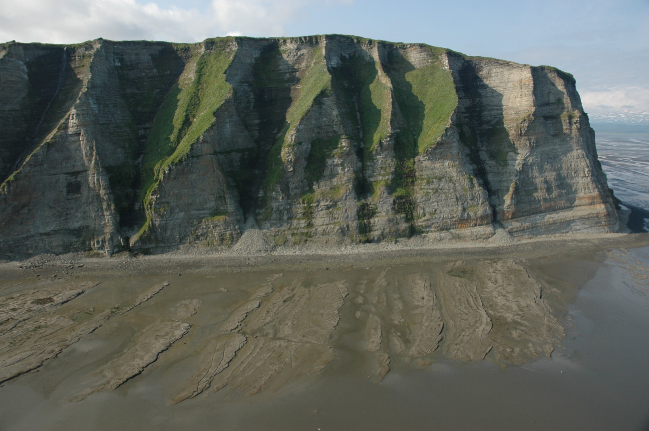 Aerial photograph (Image credit: Alaska ShoreZone Program NOAA/NMFS/AKFSC; Courtesy of Mandy Lindeberg, NOAA/NMFS/AKFSC) Aerial photograph