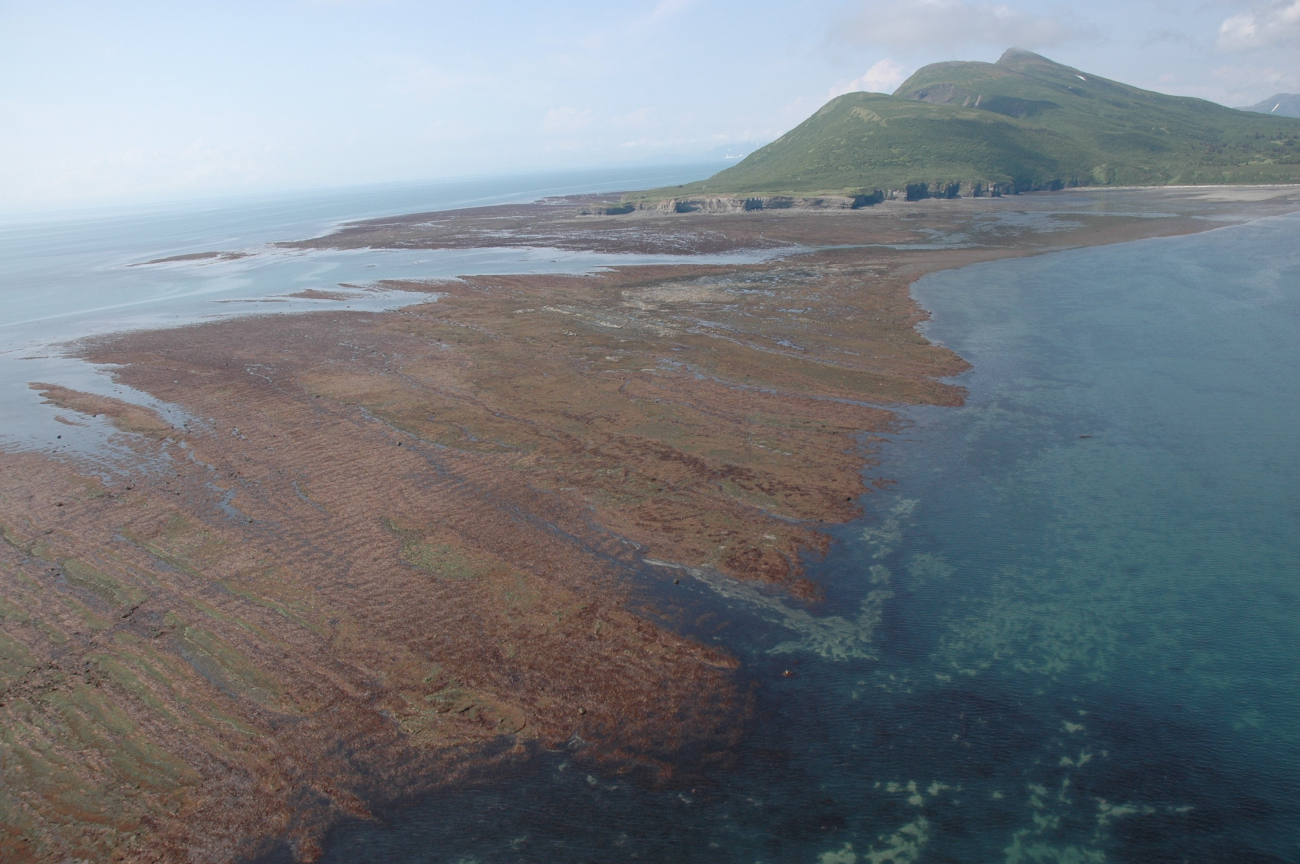 Aerial photograph (Image credit: Alaska ShoreZone Program NOAA/NMFS/AKFSC; Courtesy of Mandy Lindeberg, NOAA/NMFS/AKFSC) Aerial photograph