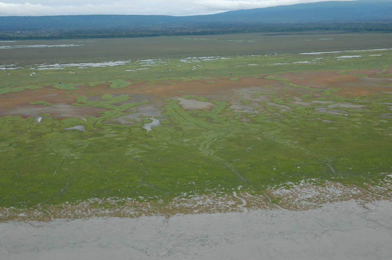 Aerial photograph (Image credit: Alaska ShoreZone Program NOAA/NMFS/AKFSC; Courtesy of Mandy Lindeberg, NOAA/NMFS/AKFSC) Aerial photograph