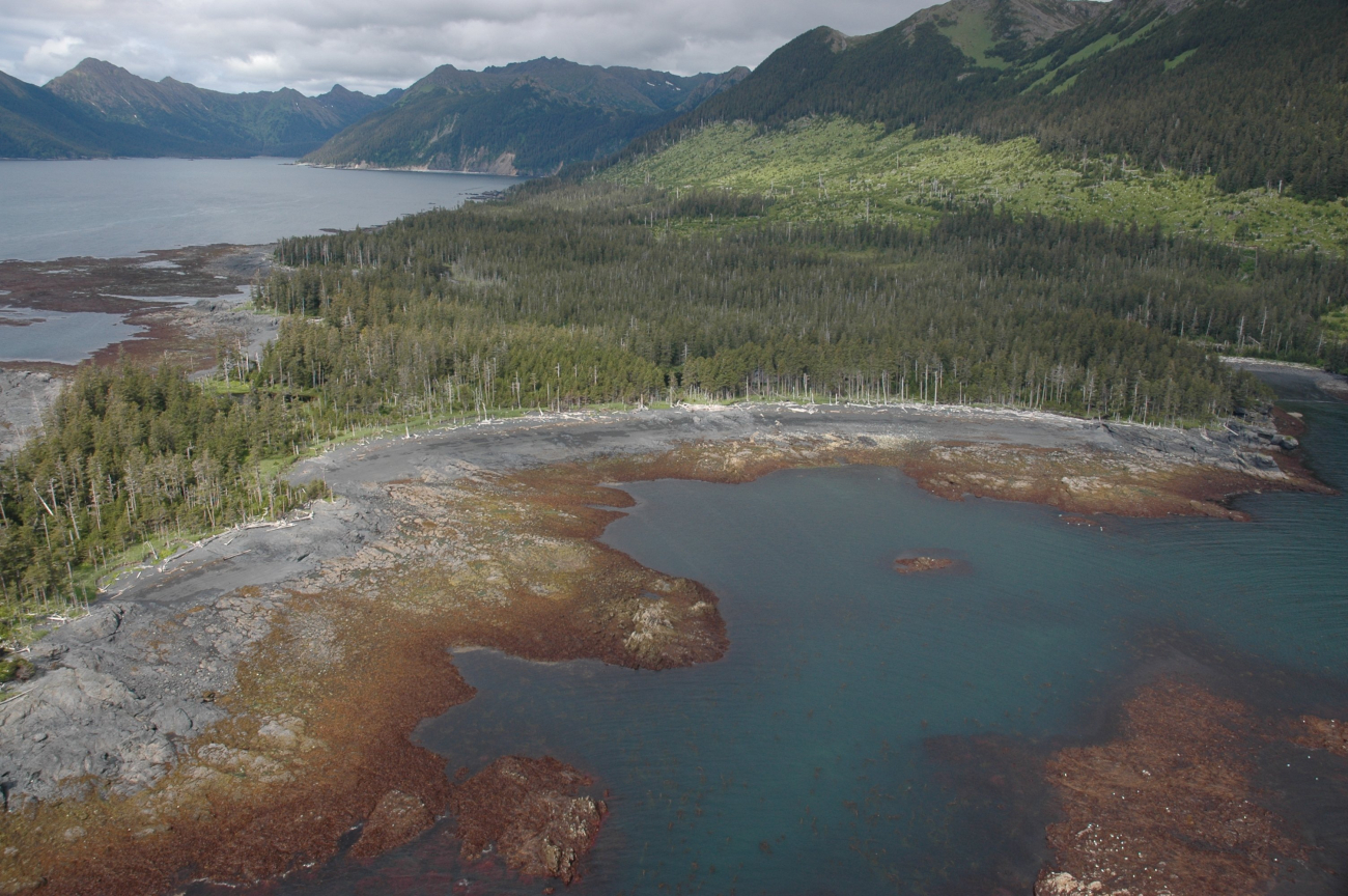 Aerial photograph (Image credit: Alaska ShoreZone Program NOAA/NMFS/AKFSC; Courtesy of Mandy Lindeberg, NOAA/NMFS/AKFSC) Aerial photograph