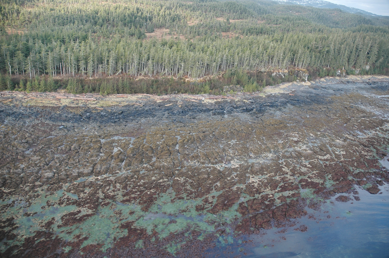 Aerial photograph (Image credit: Alaska ShoreZone Program NOAA/NMFS/AKFSC; Courtesy of Mandy Lindeberg, NOAA/NMFS/AKFSC) Aerial photograph