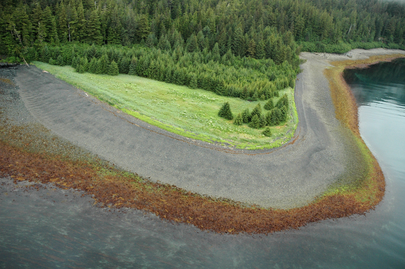 Aerial photograph (Image credit: Alaska ShoreZone Program NOAA/NMFS/AKFSC; Courtesy of Mandy Lindeberg, NOAA/NMFS/AKFSC) Aerial photograph