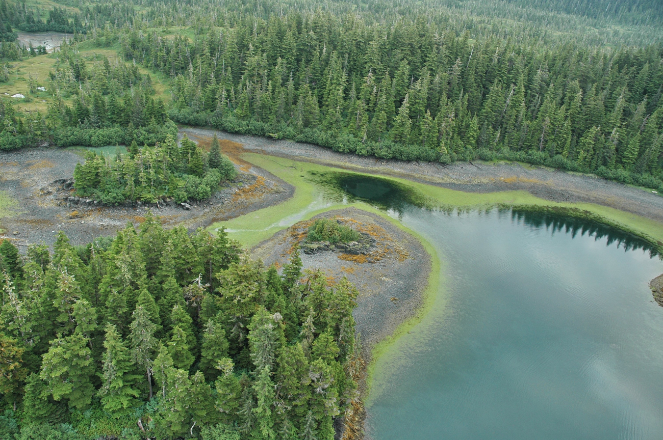 Aerial photograph (Image credit: Alaska ShoreZone Program NOAA/NMFS/AKFSC; Courtesy of Mandy Lindeberg, NOAA/NMFS/AKFSC) Aerial photograph