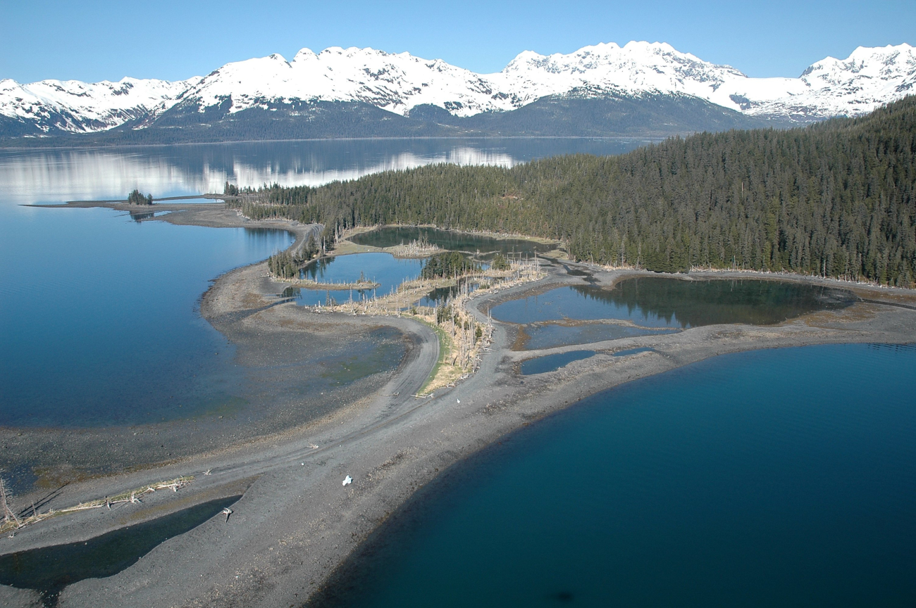 Aerial photograph (Image credit: Alaska ShoreZone Program NOAA/NMFS/AKFSC; Courtesy of Mandy Lindeberg, NOAA/NMFS/AKFSC) Aerial photograph