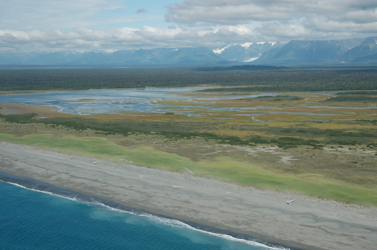 Aerial photograph (Image credit: Alaska ShoreZone Program NOAA/NMFS/AKFSC; Courtesy of Mandy Lindeberg, NOAA/NMFS/AKFSC) Aerial photograph