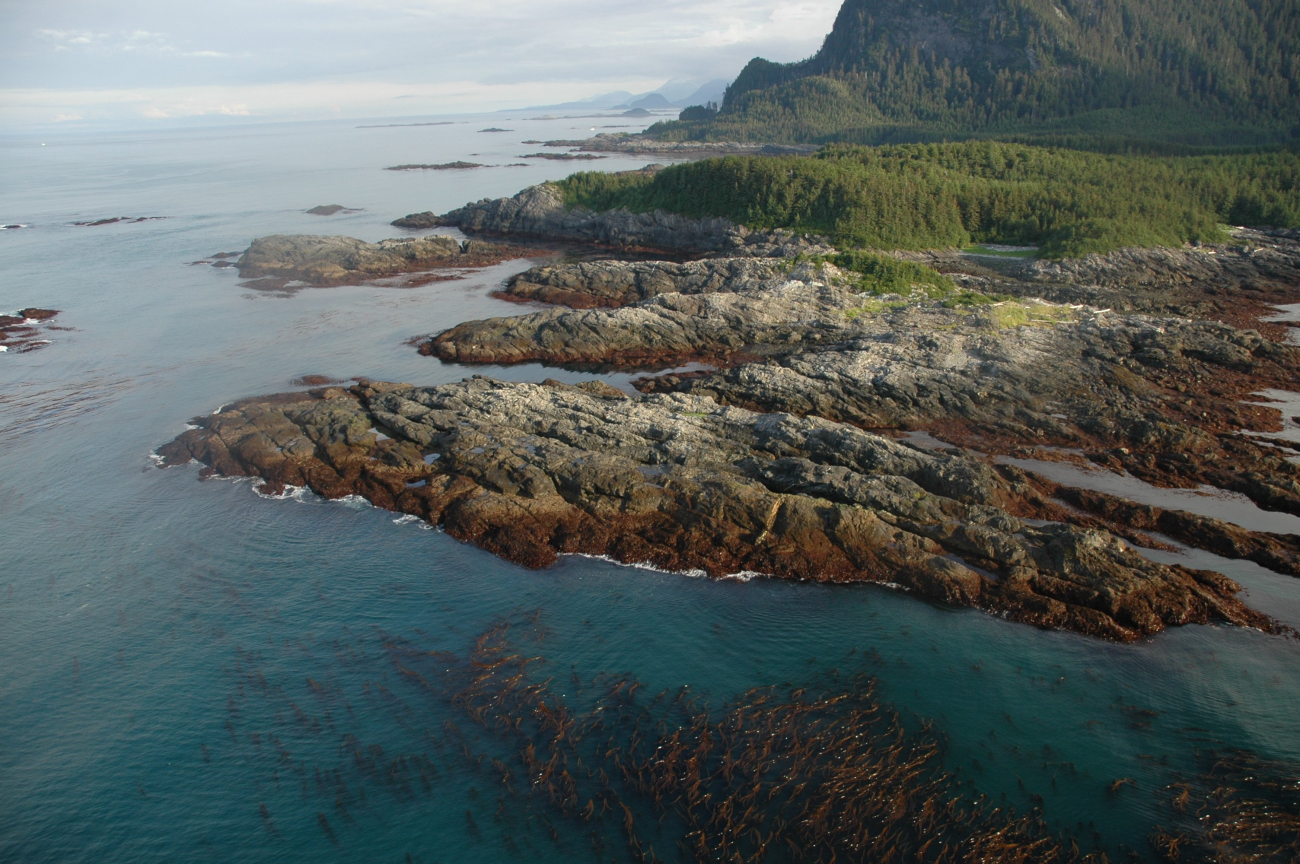 Aerial photograph (Image credit: Alaska ShoreZone Program NOAA/NMFS/AKFSC; Courtesy of Mandy Lindeberg, NOAA/NMFS/AKFSC) Aerial photograph