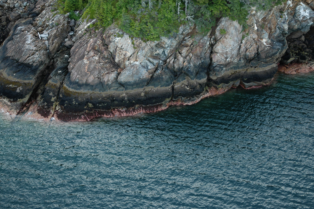 Aerial photograph (Image credit: Alaska ShoreZone Program NOAA/NMFS/AKFSC; Courtesy of Mandy Lindeberg, NOAA/NMFS/AKFSC) Aerial photograph