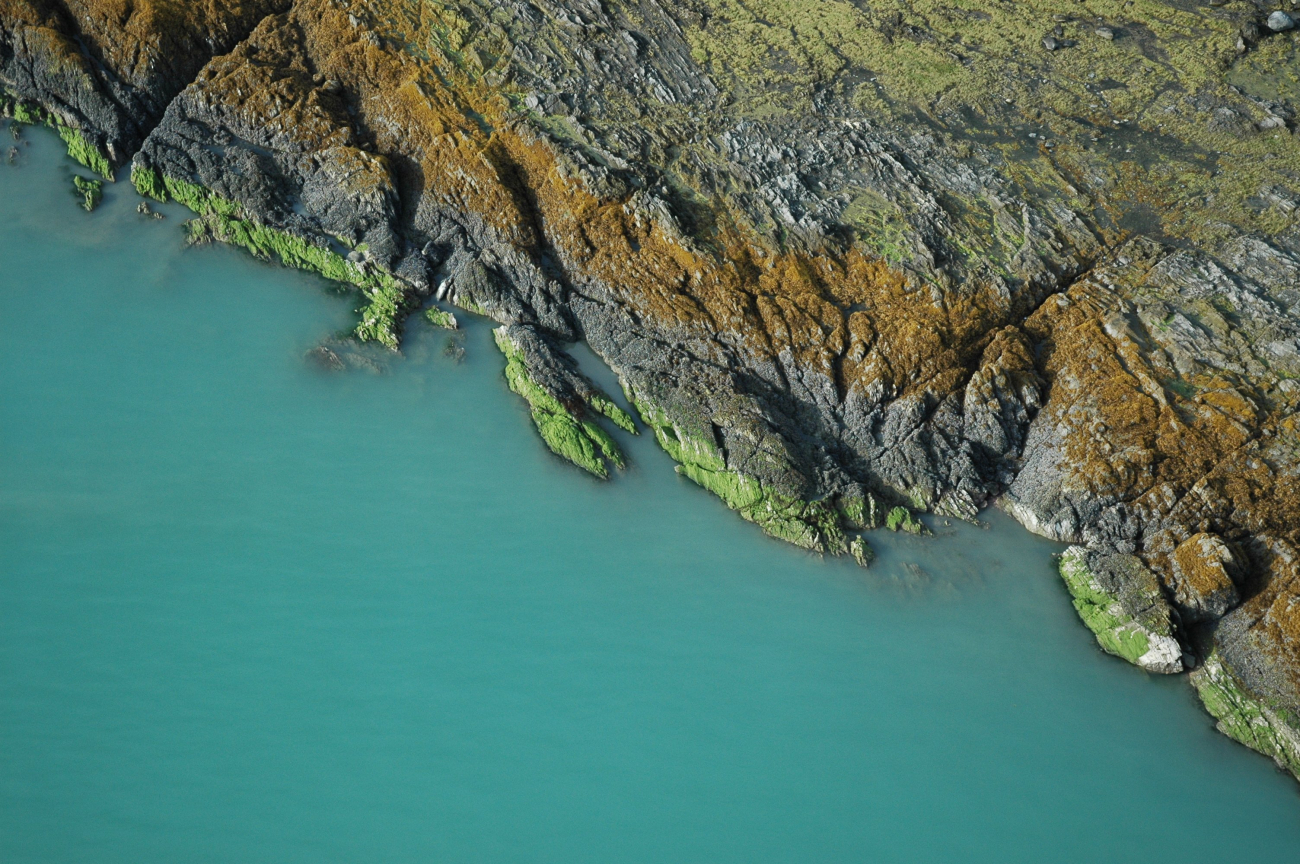 Aerial photograph (Image credit: Alaska ShoreZone Program NOAA/NMFS/AKFSC; Courtesy of Mandy Lindeberg, NOAA/NMFS/AKFSC) Aerial photograph
