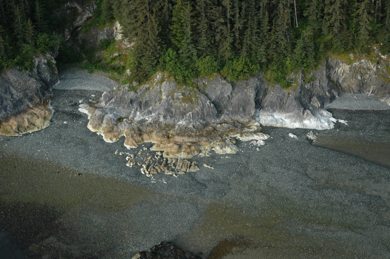 Aerial photograph (Image credit: Alaska ShoreZone Program NOAA/NMFS/AKFSC; Courtesy of Mandy Lindeberg, NOAA/NMFS/AKFSC) Aerial photograph